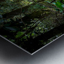 Whispers of the Ancient Forest Metal print