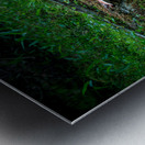 Fungi and Dirty Pool Metal print