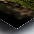 Pine Cone Metal print