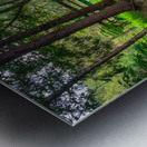 Woodland Bridge Reflections Metal print