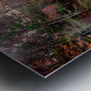 Morning Light Metal print