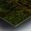 Calm Birch Run Pool Metal print