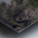 Morning witness Metal print