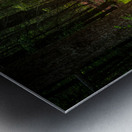 Fern Light Metal print