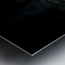 Veil of Quiet Elegance Metal print