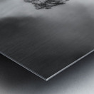 Lighted PA Pine Metal print