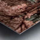 City in Bloom: Yorks Stroll Through Infrared Hues Metal print