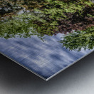 Pink Reflection Metal print