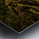 Hidden falls Metal print