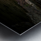 Natures Golden Cascade Metal print