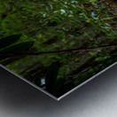 Springs Promise Metal print