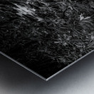 Mountain Streams Melody Metal print