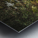 Mossy Rocks Metal print