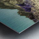 Deserts Purple Heart Metal print