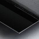 Gaurded Calm Metal print