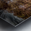 Full Spectrum Gazebo Metal print