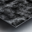 Four Bald Island Metal print