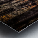 Sun Lighted Cypress -2 Impression metal