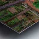 Tranquil Crossing Metal print