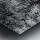 Questionable Bridge Metal print