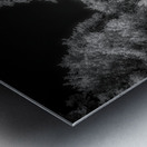 Garden Gazebo Metal print