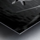 Sylvans Skeleton Waltz Impression metal