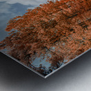 Pumpkin Skies at Coolidge Metal print