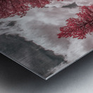 Red Meadow  Metal print