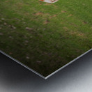 Boundless Horizons: A Pronghorns Journey through Custers Wildlife Loop Impression metal