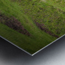 Wild Encounters: A Moment in the Wild Impression metal