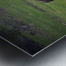 Bison Tales: Roaming the Wild Frontier Metal print