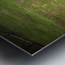 Bison Tales: Herds of the Heartland Metal print