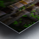 Exploring Sylvan Lake: Capturing the Beauty of Aspen Bark Metal print