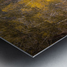 Wilderness Whispers: Grace Coolidge Creek Metal print