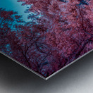 Infrared Oasis: Pink Arches Metal print