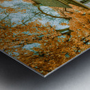 Memories of Home: Sam Houston Lodge Metal print