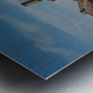 Chattanooga Sculpture 2 Metal print