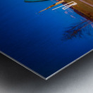 Chattanooga Sculpture 24 Metal print