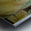 Forgotten Layers: Spokane Ghost Town Ruins Metal print