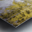 Bismarcks Golden Gateway Metal print