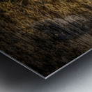 Autumns Embrace: A Fairytale Portal at Watkins Glen State Park Impression metal