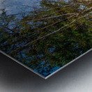 Bismarcks Hidden Cascade Metal print