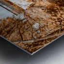 Autumns Liquid Gold Impression metal