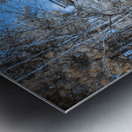 Bismarcks Dream Metal print