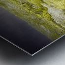 Shrubs and Trees in Secret Spectrum Metal print