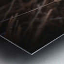 Montana Ranch: Lone Straw Metal print