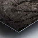 Invisible Texas Trail Metal print