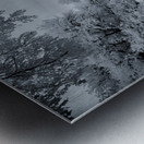 Whispers of Time: A Weathered Road Along Appomattox Courthouse Towns Fences Impression metal