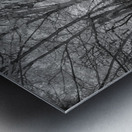 Farm path - 2 Metal print