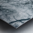 Rustic Reverie: Exploring the Historic Farm Trails Metal print